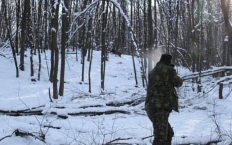 Incident la vânătoare, bărbat „încolţit” de mistreţ, ZCH NEWS - sursa ta de informații