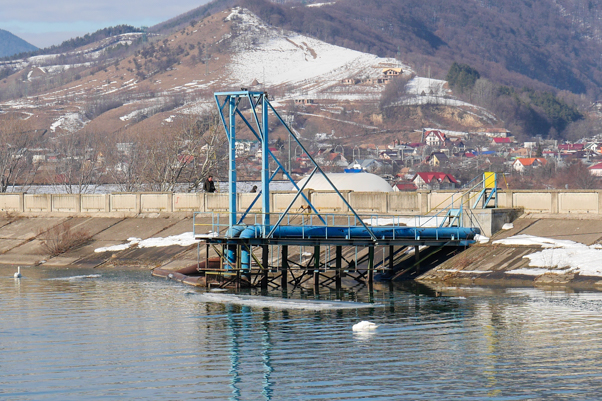 GALERIE FOTO Lebădă moartă lângă Barajul Bâtca Doamnei, ZCH NEWS - sursa ta de informații