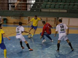 Sâmbătă, meci atractiv în Polivalentă: Futsal Ceahlăul – Colțea 1920 Brașov