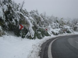 ANM: Vineri – ploi, sâmbătă – ninsori şi vânt puternic!