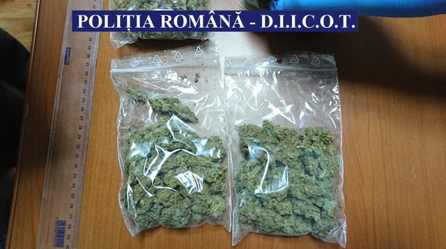 FOTO Cu ajutor din Neamţ, traficanţi de haşiş şi cannabis reţinuţi la Bacău, ZCH NEWS - sursa ta de informații
