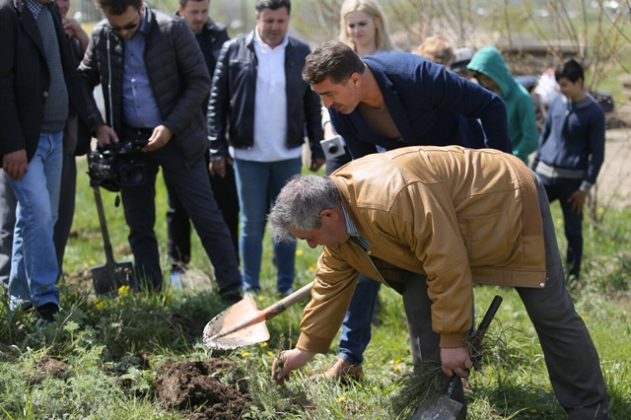 Președintele Ionel Arsene a plantat molizi la Dragomirești, ZCH NEWS - sursa ta de informații