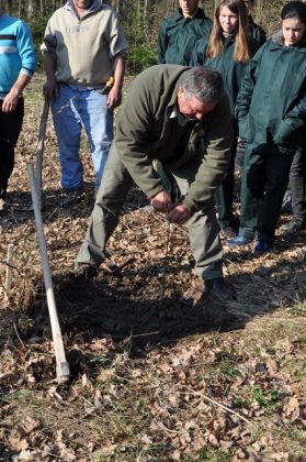 GALERIE FOTO VIDEO Direcţia Silvică Neamţ: Luna plantării arborilor la final, ZCH NEWS - sursa ta de informații