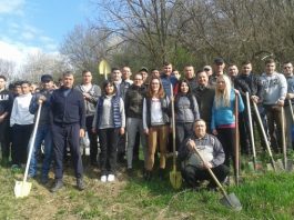 Polițiștii și elevii au plantat pentru România