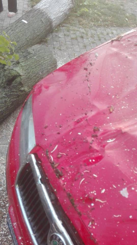 FOTO Furtuna la Roman: 8 mașini distruse!, ZCH NEWS - sursa ta de informații
