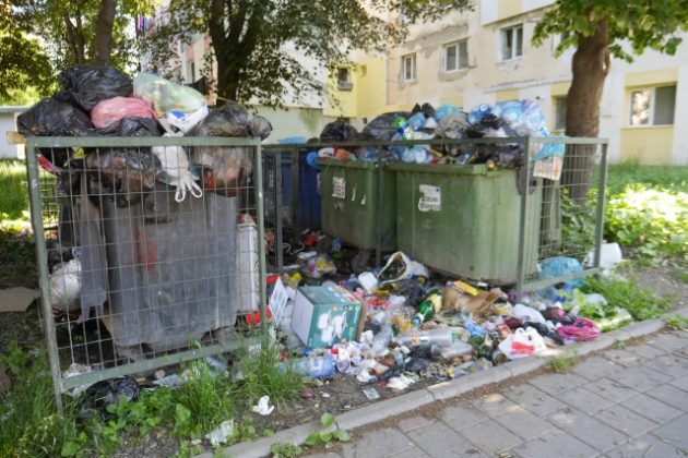GALERIE FOTO Gunoi până-n poarta Direcţiei Sanitar-Veterinare Neamţ, ZCH NEWS - sursa ta de informații
