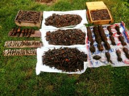 Arsenal pe strada Corbului din Târgu Neamţ: 7.000 de cartușe, 8 grenade și zeci de focoase