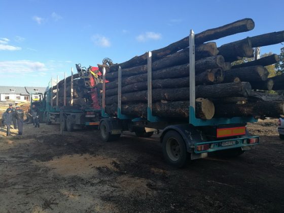 FOTO Amendă de 10.000 lei pentru 19 mc de lemn fără acte, ZCH NEWS - sursa ta de informații