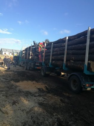 FOTO Amendă de 10.000 lei pentru 19 mc de lemn fără acte, ZCH NEWS - sursa ta de informații