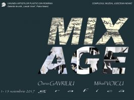 „MixAge”, expoziţie Oana Gavriliu/Mihai Voicu, la Galeriile „Vorel”