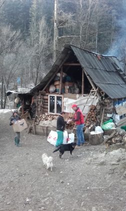 FOTO Alimente, haine şi jucării de la Crucea Roşie Neamţ, ZCH NEWS - sursa ta de informații