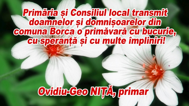 Ovidiu Geo NIȚĂ primar