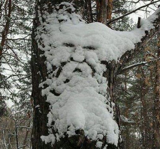 Octogenar plecat de-acasă, găsit degerat