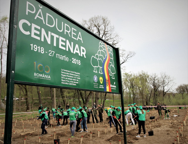 FOTO Pădurea Centenar, plantată pe ambele maluri ale Prutului