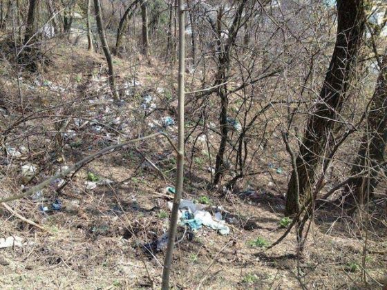 Primăria Târgu Neamț și Rossal: Fără gunoaie pe domeniul public!, ZCH NEWS - sursa ta de informații