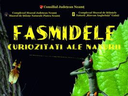 „FASMIDELE, curiozități ale naturii”, de pe 15 mai, la Muzeul de Istorie Piatra Neamţ