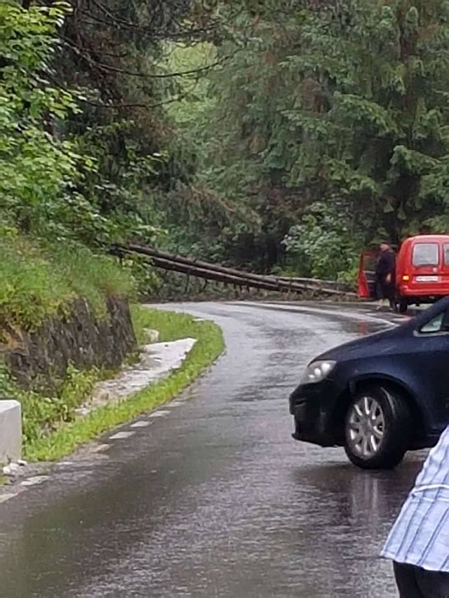 FOTO Drum blocat între Poiana Largului şi Borsec, ZCH NEWS - sursa ta de informații