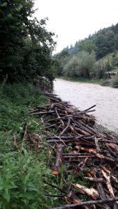 Bărbatul luat de pârâul Cuiejdiu, găsit înecat în Piatra-Neamţ, ZCH NEWS - sursa ta de informații