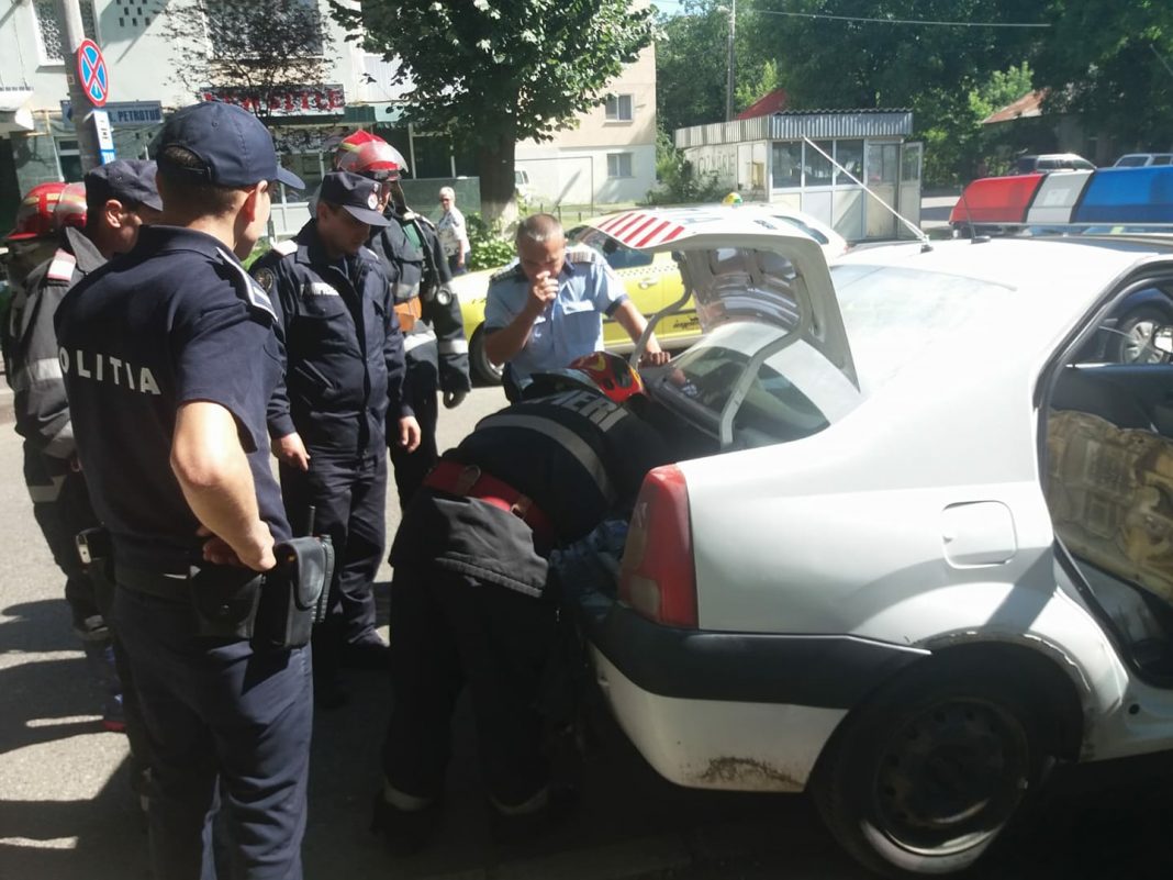 Incendiu ”devastator” la un Logan de poliție: au ars 4 centimetri de izolație