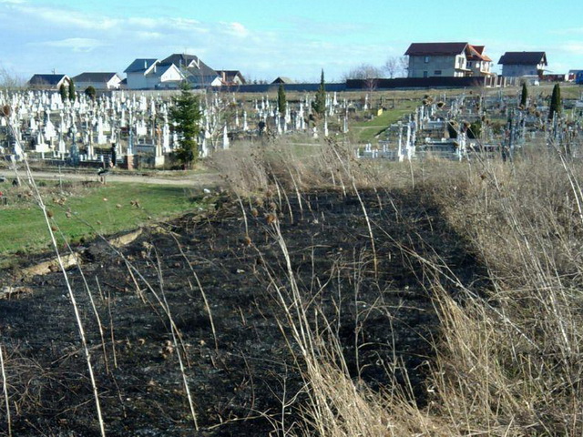 Se extinde cimitirul Pietricica, ZCH NEWS - sursa ta de informații