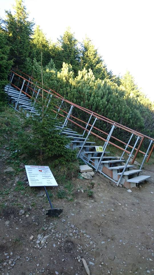 Apel către turiştii – vandali: „Să stea la meciurile de fotbal, unde există Jandarmerie!”