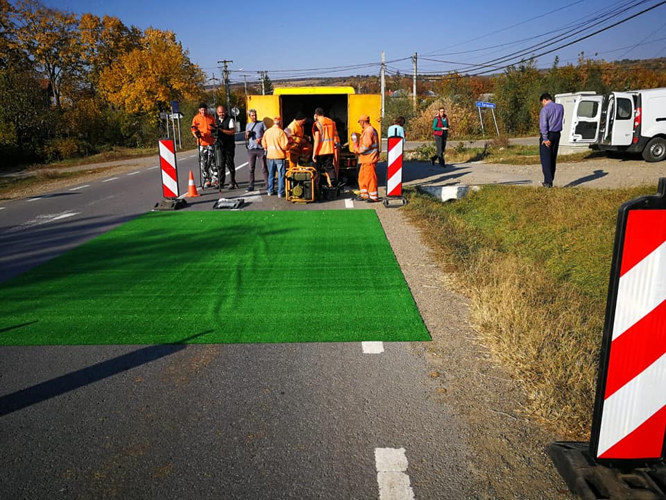 Cuvioasa Parascheva păzită de pesta porcină cu covorașe dezinfectante