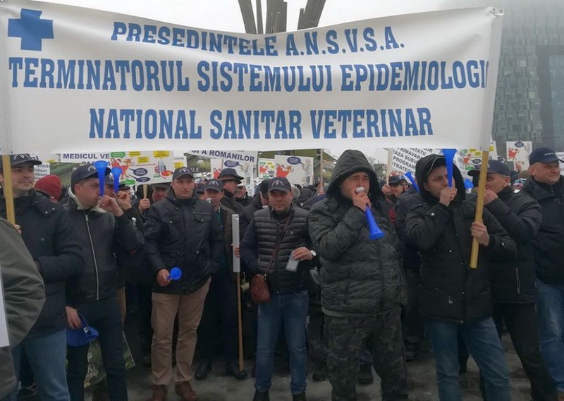 Medicii veterinari concensionari din Neamț protestează la București, ZCH NEWS - sursa ta de informații