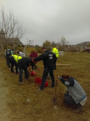 FOTO Angajaţii Gărzii de Mediu Neamţ au plantat 100 de copaci, ZCH NEWS - sursa ta de informații