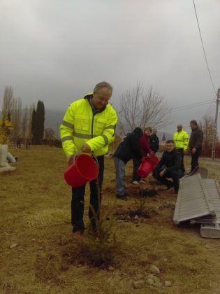 FOTO Angajaţii Gărzii de Mediu Neamţ au plantat 100 de copaci, ZCH NEWS - sursa ta de informații
