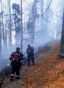 Incendiu în pădurea de la Mănăstirea Neamțului, ZCH NEWS - sursa ta de informații