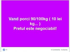 Târgul de porci de pe Facebook lasă rece DSVSA Neamț