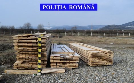 Polițiștii au confiscat 5.000 mc de lemn și 10 căruțe, ZCH NEWS - sursa ta de informații