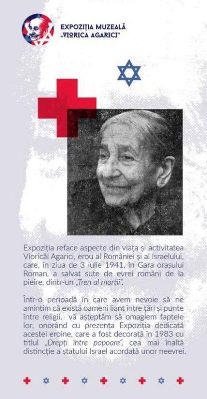 COMUNICAT DE PRESĂ Consiliul Județean Neamț vernisează expoziția ”Viorica Agarici” la Parlament