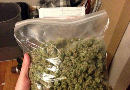 Jumătate de kilogram de cannabis găsit în casa unui traficant din Roman, ZCH NEWS - sursa ta de informații