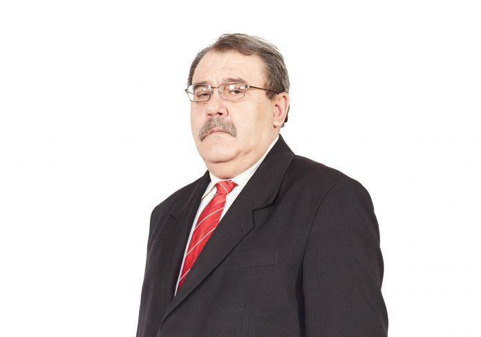 viorel stan (2)