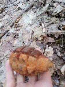 Nişte copii care se jucau în pădure au găsit o grenadă, ZCH NEWS - sursa ta de informații