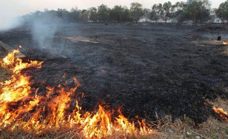 Târgu Neamț : un service auto a luat foc de la un incendiu de vegetație. Știre actualizată, ZCH NEWS - sursa ta de informații