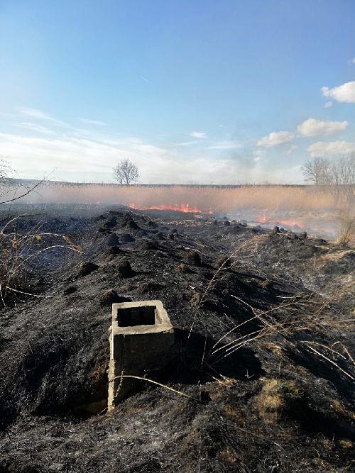 Incendii de vegetație uscată și stuf la Soci și Bălănești și pe str. Fermelor din Piatra Neamț. Video