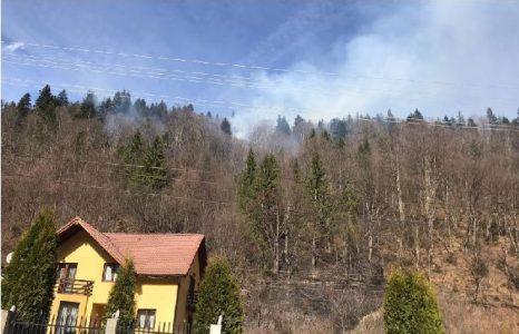 Bărbatul care a provocat incendiul de la Izvorul Muntelui a fost amendat de pompieri, ZCH NEWS - sursa ta de informații
