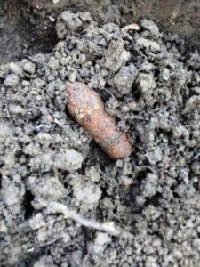 Un detectorist a găsit muniție în pădurea Arinosu, ZCH NEWS - sursa ta de informații