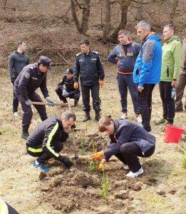 Angajaţi ai ISU Neamţ au plantat arbori pe Valea Pângărăciorului, ZCH NEWS - sursa ta de informații
