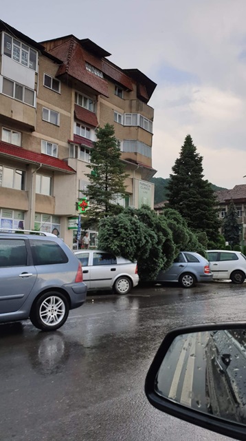 Actualizare. Târgu Neamț: arbore căzut peste două mașini. Pe aceeași stradă au căzut bucăți de acoperiș. Foto, ZCH NEWS - sursa ta de informații
