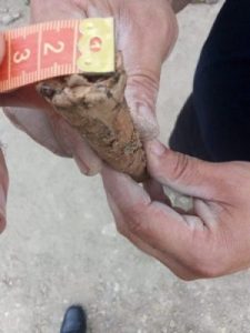 Dinamită păzită de jandarmi, la șantierul arheologic de la Hanul Șerbești, ZCH NEWS - sursa ta de informații