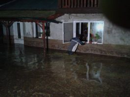 Direcția Silvică despre inundațiile de la Văleni: ”Pe versanți, pădurea nu ține precipitațiile”