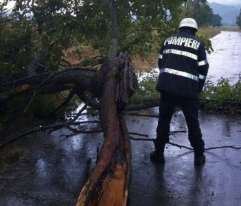 Furtună în Neamț: Arbori căzuți și circulație rutieră pe un singur fir la Poiana Teiului, ZCH NEWS - sursa ta de informații