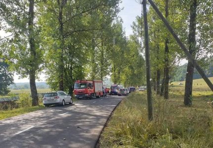 accident lângă zimbrărie