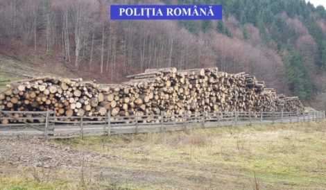 Polițiștii nemțeni au controlat ocoale silvice din Județul Mureș, ZCH NEWS - sursa ta de informații