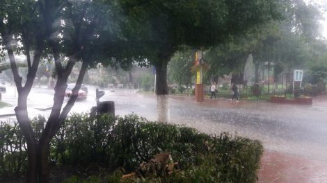 COD PORTOCALIU, de furtuni, în zona Târgu Neamţ, ZCH NEWS - sursa ta de informații