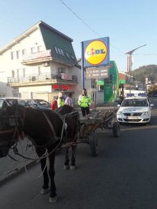 Poliţia Locală Târgu Neamţ avertizează căruţaşii, ZCH NEWS - sursa ta de informații