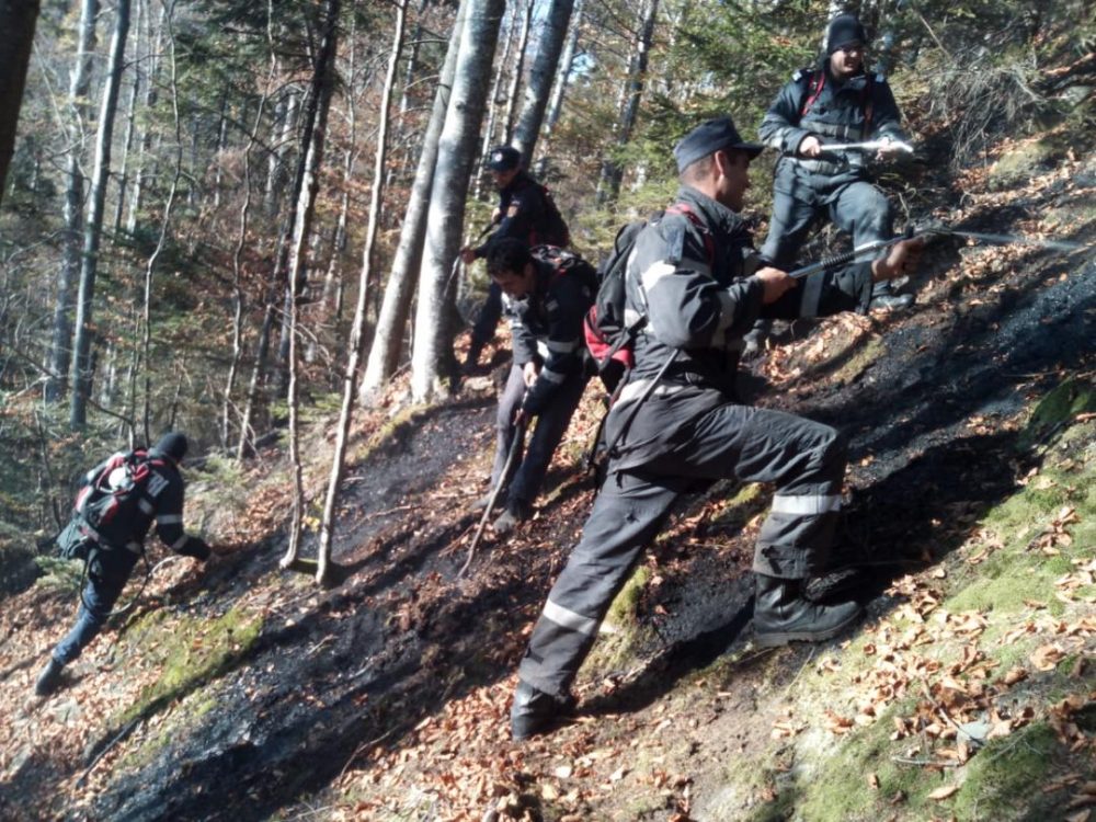 Pârjol lîngă Mănăstirea Nechit, în urma culegătorilor de ghebe